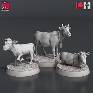 Farm Animals Cows