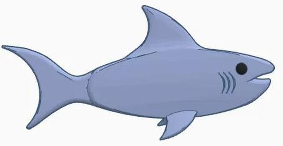 Cute Shark   