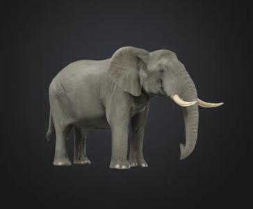 3D Elephant   