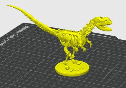 Dinosaur Skeleton Model – T-Rex Inspired Fossil Display   