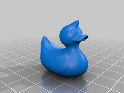 Duck