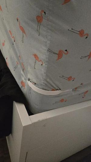 Fitted Sheet Clip   