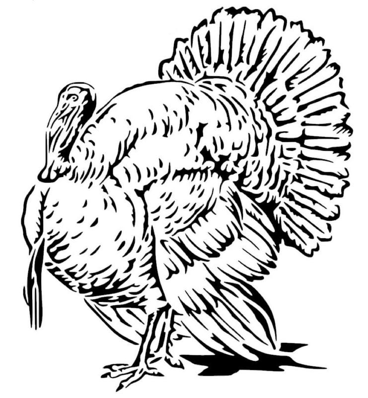 Turkey stencil 2