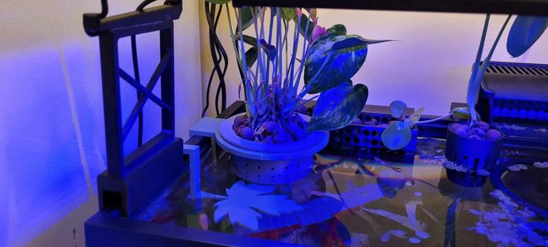 Chonkier Aquarium Planter   