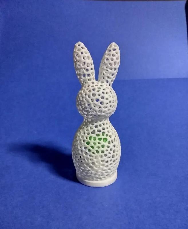 Bunny with Heart  Voronoi Sculpture   