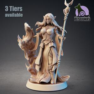 High Elf Sorcerer