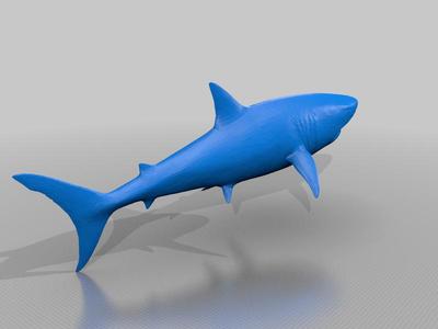 Shark