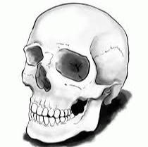 Skull light lamp