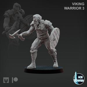 Viking - Warrior 3