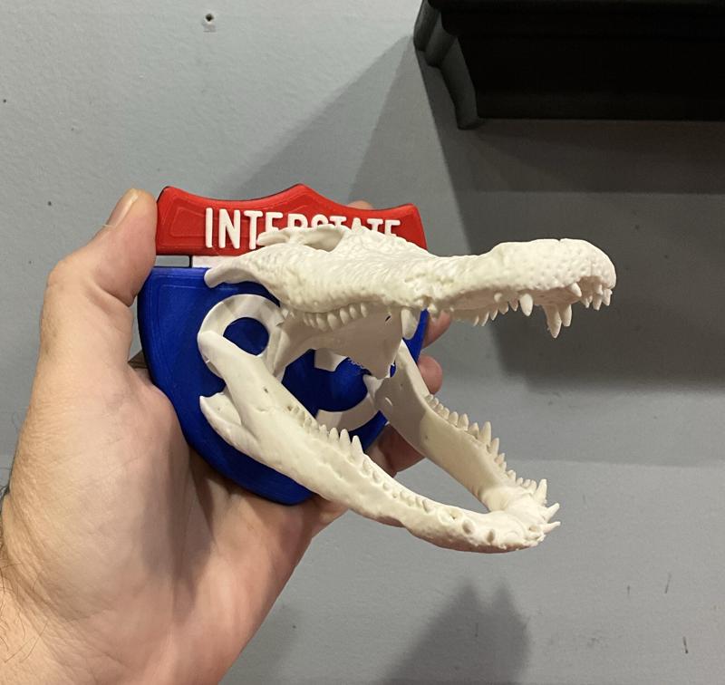 Gator skull mount on I-95 sign