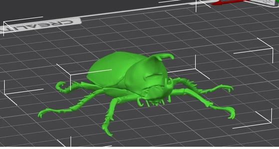 甲虫 カブトムシ   