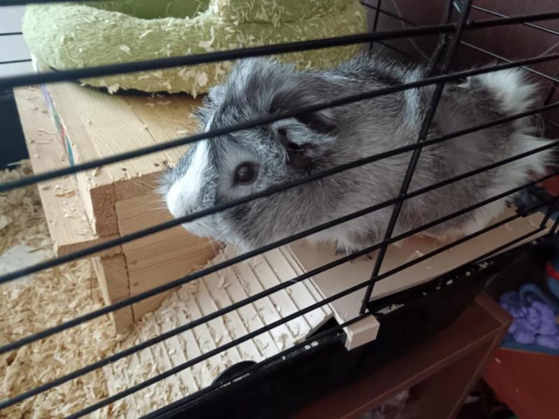 MORČE - podesta s rampou   