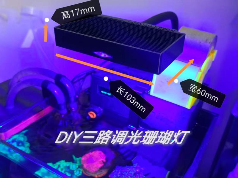 12W three-channel dimming small coral light, Bluetooth dimming and timing, suitable for aquariums under 25 cm