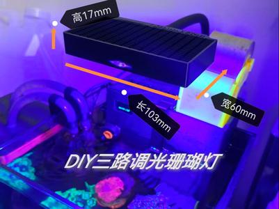 12W three-channel dimming small coral light, Bluetooth dimming and timing, suitable for aquariums under 25 cm