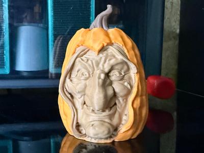 Pumpkin Witch Halloween