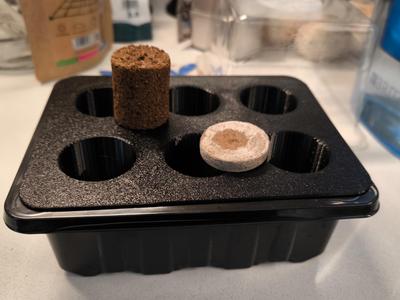 Parametric 6-Holed Seed Tray for Germination Box