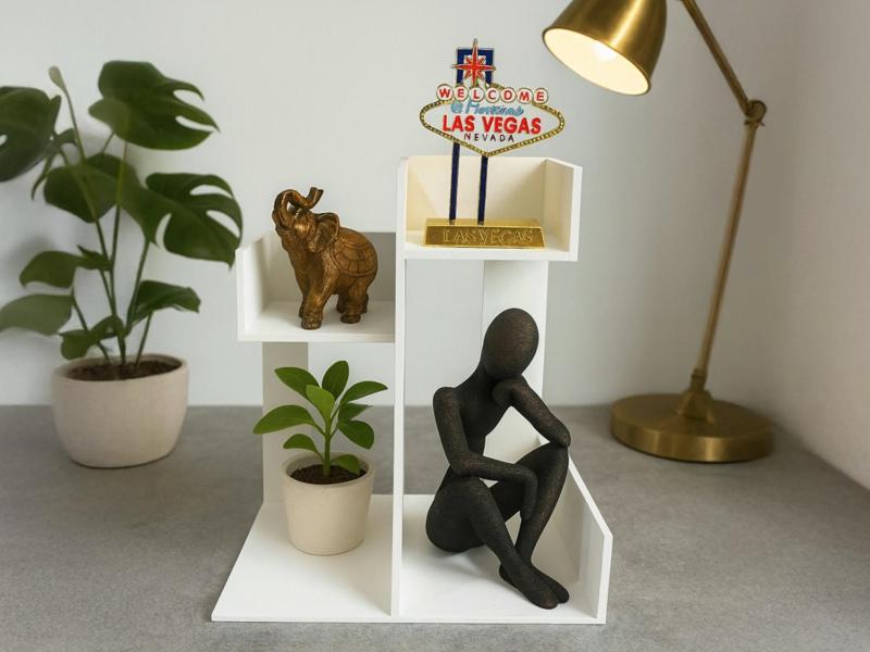 Display Shelf Organizer