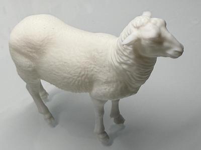 Realistic Adult  Sheep