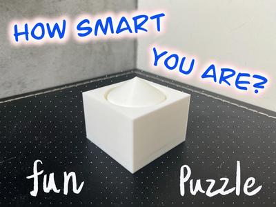 Newton's Gravity Defying Puzzle