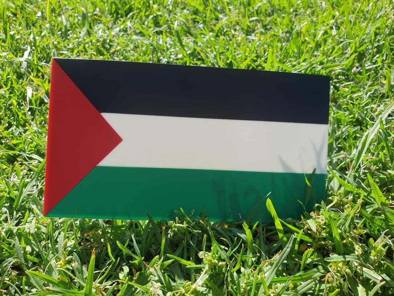 Palestine Flag