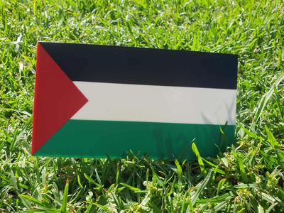 Palestine Flag