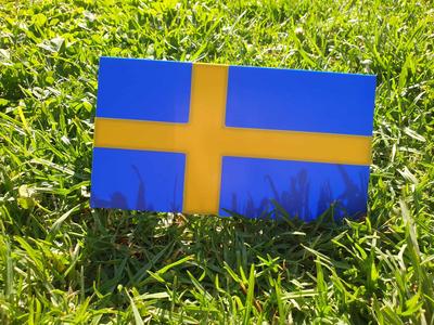 Swedish Flag