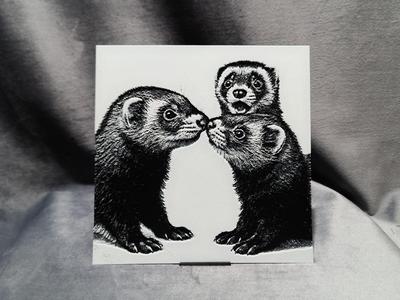 Ferret Family