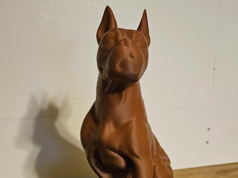 Bull Dog