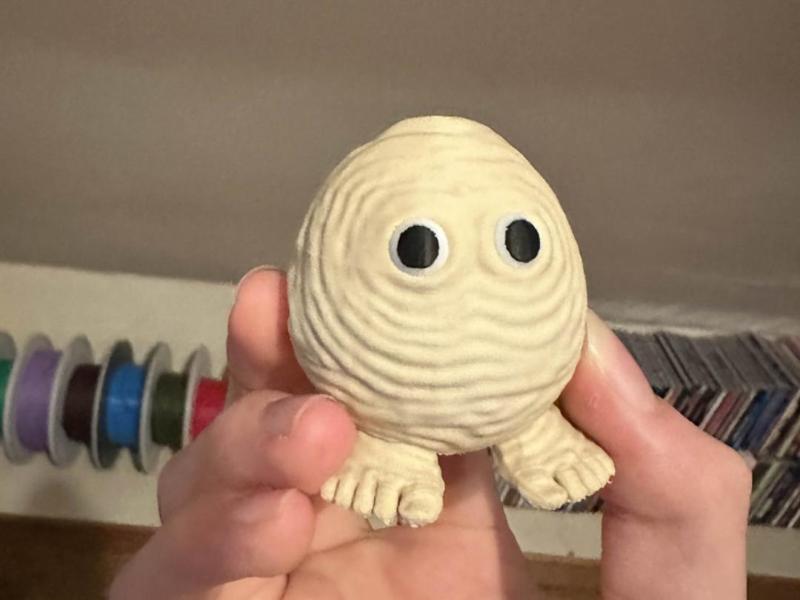 flesh egg