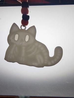 Xray Ghost Cat 