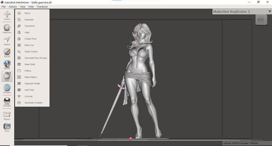 Beautiful Amazon warrior with sword