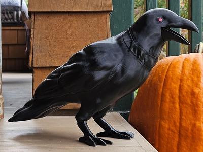Animatronic Halloween Crow
