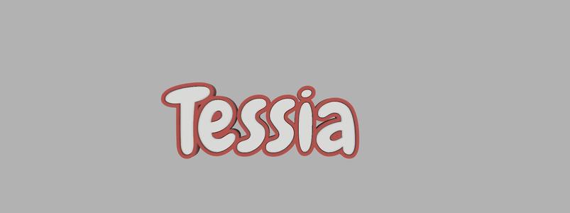 two-tone key ring - Tessia