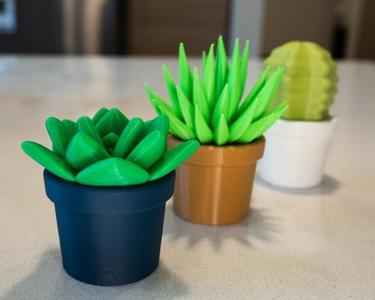 Succulent Fidget Containers