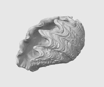 Giant Clam