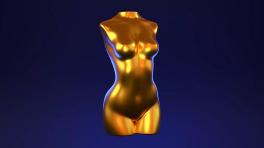 Female Torso 2
