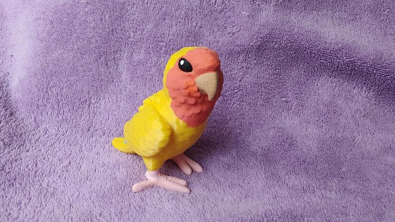 Lovebird