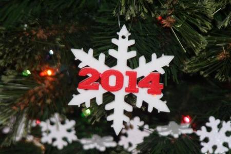 Another 2014 Snowflake Christmas Ornament