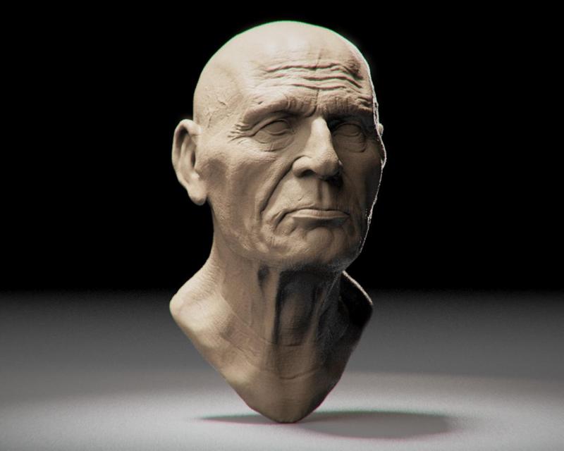 Realistic Bust of a Man