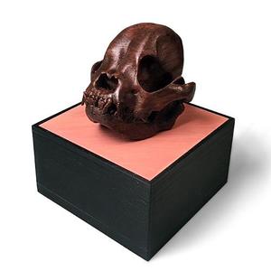 The Frenchie Skull  |  Foundation Series