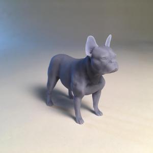 The Frenchie in Standard Pose | Foundation Series