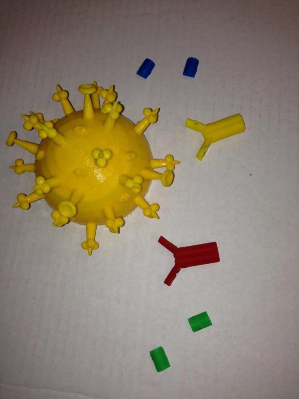 Antibody Epitope teaching kit