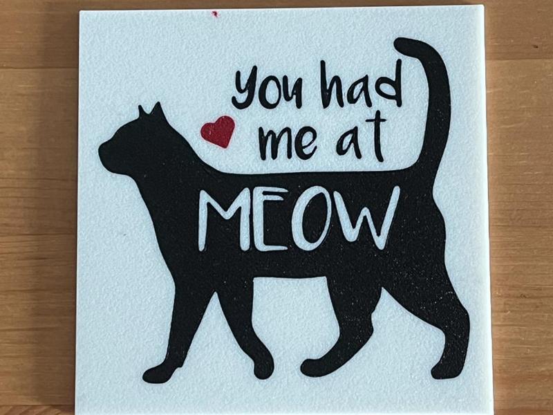 cat coaster