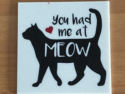cat coaster
