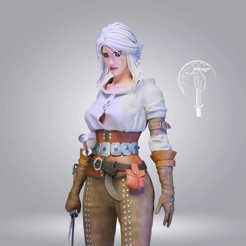 Ciri The Witcher 3 Wild Hunt NSFW Ready For 3D Printing