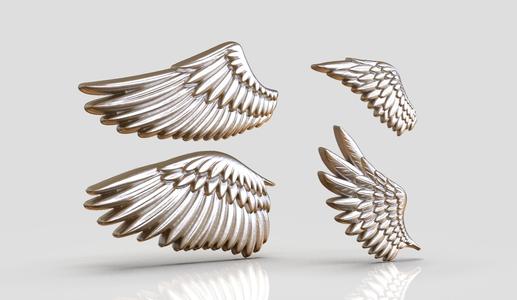 Wings Relief