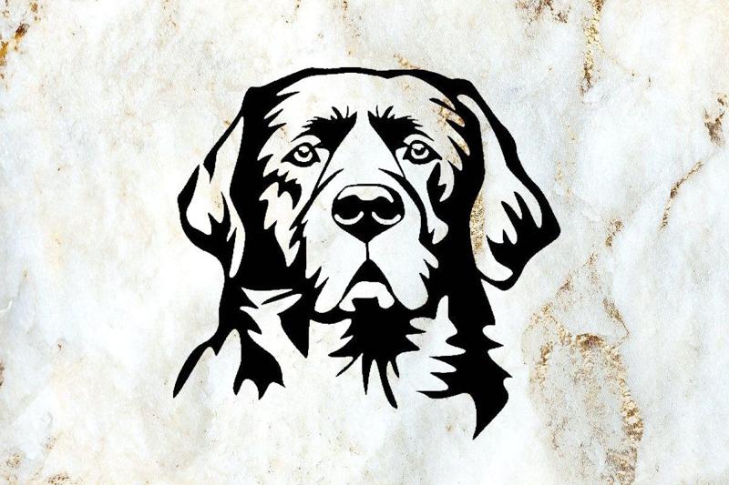 Labrador retriever dog wall decoration deco wall pet wall mural