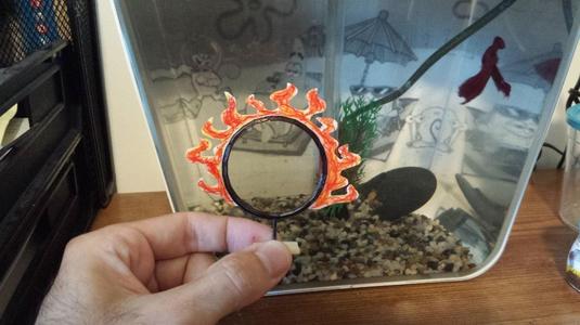 Flaming Fish Hoop