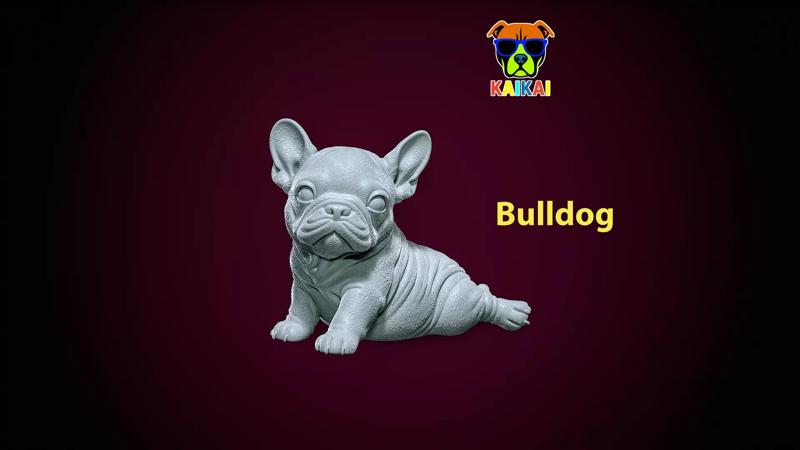 Bulldog model - america bully dog - 3D print