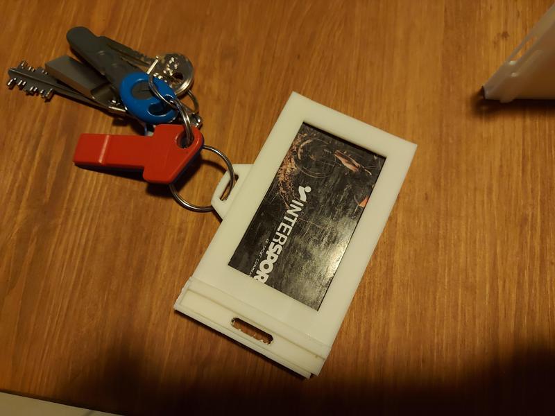 Card and badge protector